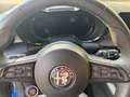Alfa Romeo Tonale Tonale 1.6 Sprint 130cv tct6 Blu/Azzurro - thumbnail 8