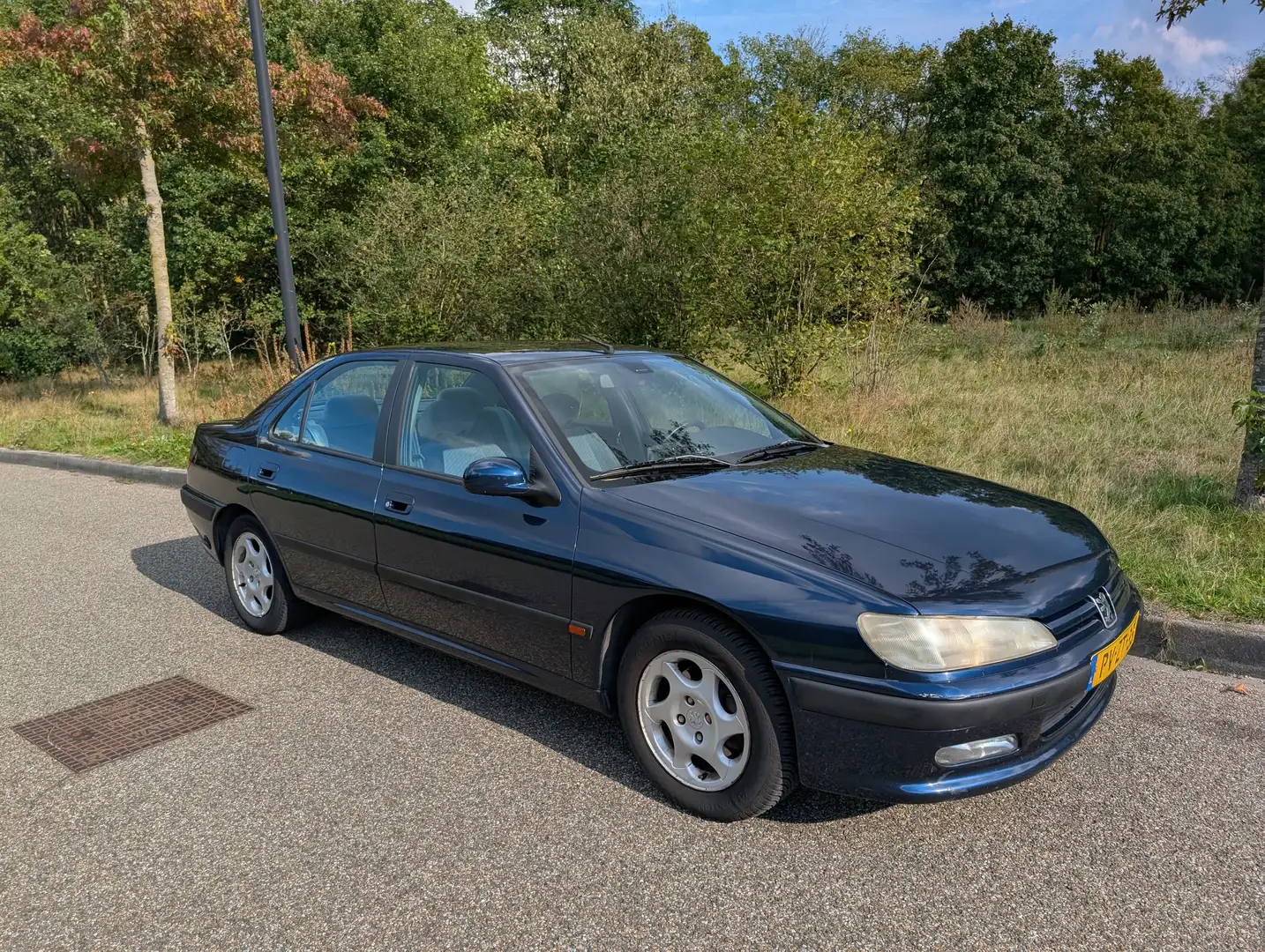 Peugeot 406 406 2.0-16V SL automaat op LPG Blauw - 1