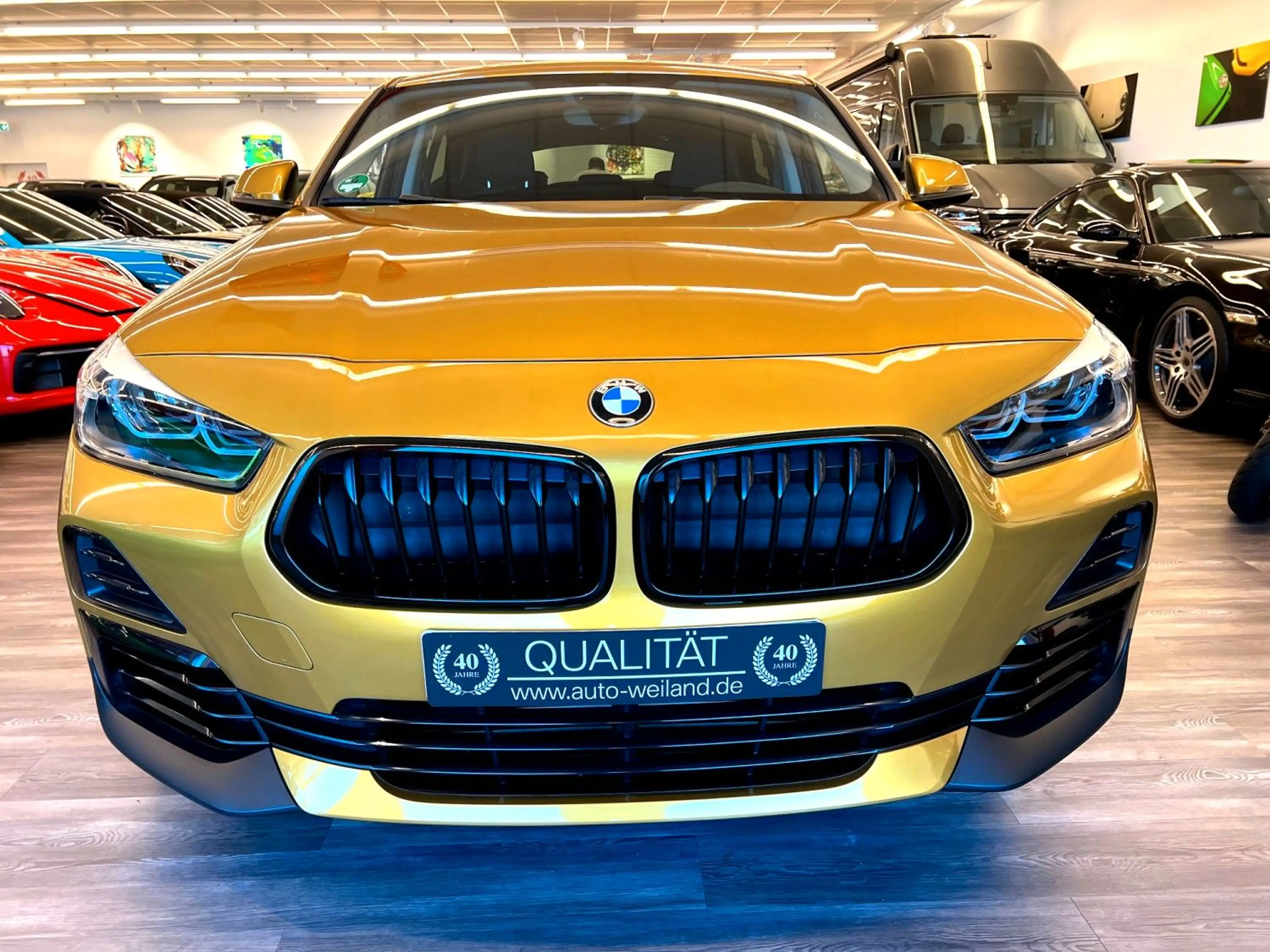 BMW X2 SDrive 18D Advantage Paket Autom Navi 18Zoll — photo 6