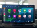 Volkswagen Passat Variant 2.0TDI DSG 4M AHK Pano LED Leder Klima Navi Leder Grau - thumbnail 15