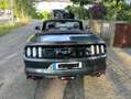 Ford Mustang Cabrio 5.0 Ti-VCT V8 GT mit Garantie!!! Grün - thumbnail 3
