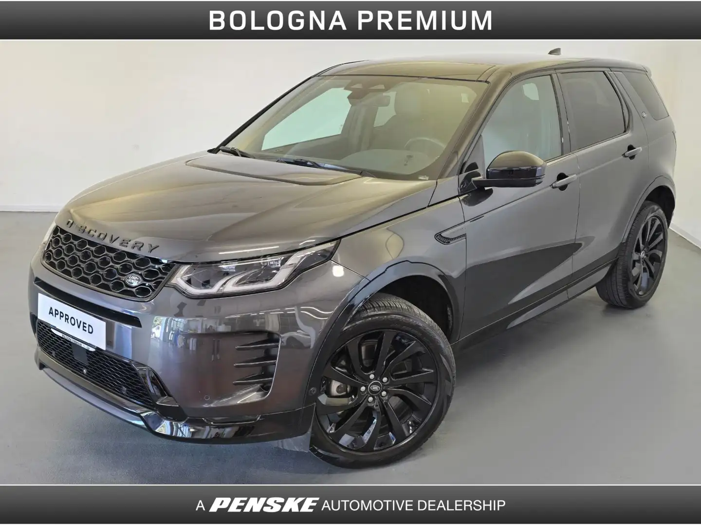 Land Rover Discovery Sport Discovery Sport 2.0 TD4 163 CV AWD Auto Dynamic S Gris - 1