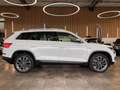 Skoda Kodiaq Scout 4x4 *2. Hand*Panorama*360°-Kamera* Weiß - thumbnail 16