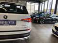 Skoda Kodiaq Scout 4x4 *2. Hand*Panorama*360°-Kamera* Weiß - thumbnail 28