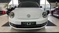 Volkswagen Beetle 2.0*Sport*DSG*Xen*Pano*19Zoll* Blanc - thumbnail 9
