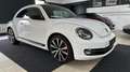 Volkswagen Beetle 2.0*Sport*DSG*Xen*Pano*19Zoll* Blanc - thumbnail 7