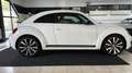 Volkswagen Beetle 2.0*Sport*DSG*Xen*Pano*19Zoll* Blanc - thumbnail 6