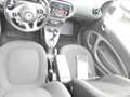 smart forTwo smart fortwo cabrio cabrio passion Weiß - thumbnail 5