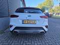 Kia XCeed DynamicPlusLine 120 PK Blanc - thumbnail 5