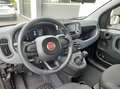 Fiat Panda 1.0 GSE Hybrid 2024 City-Paket Parksensore Schwarz - thumbnail 4