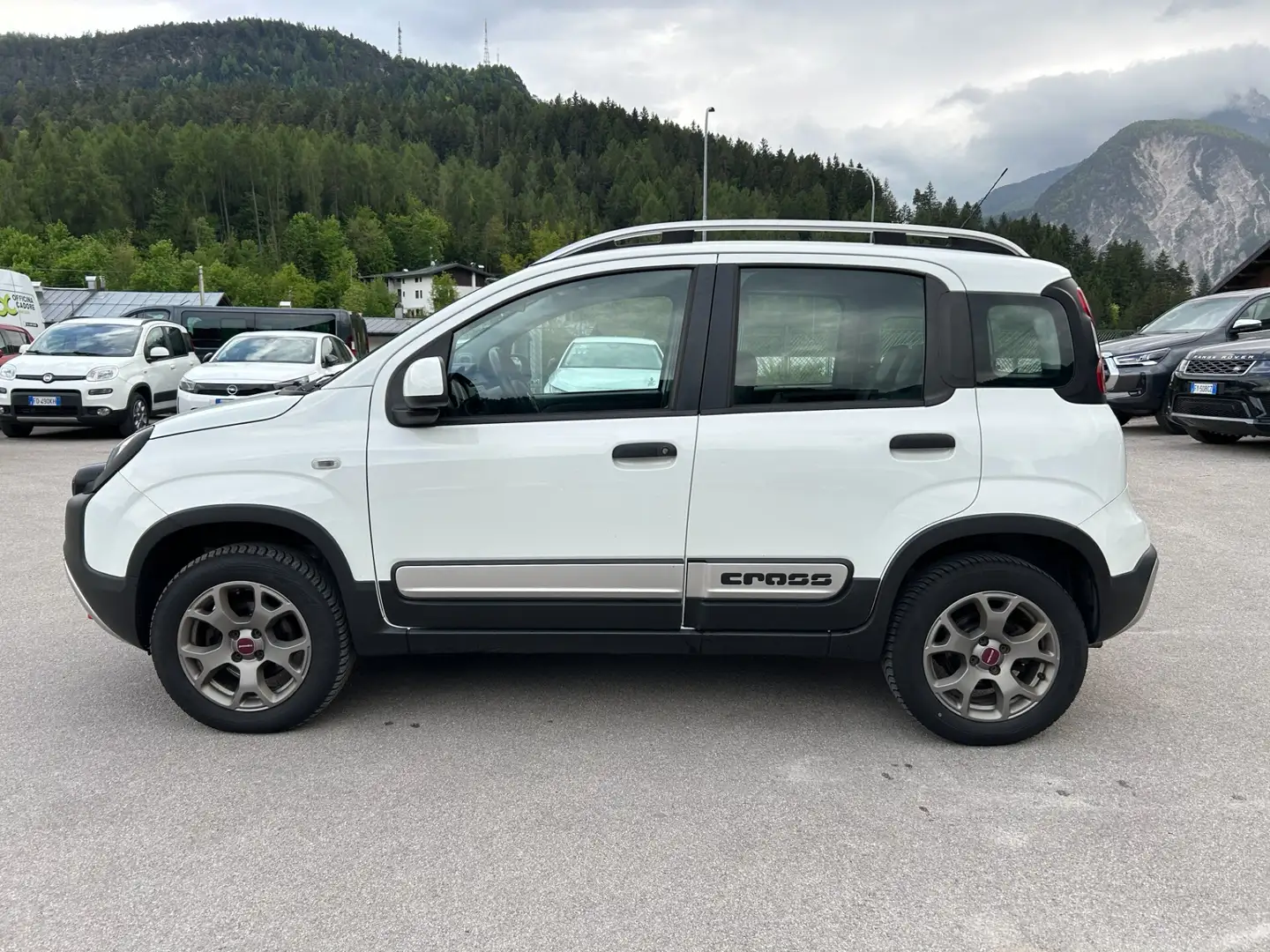 Fiat Panda Cross 1.3 MJT 95 CV S&S 4x4 Blanco - 2
