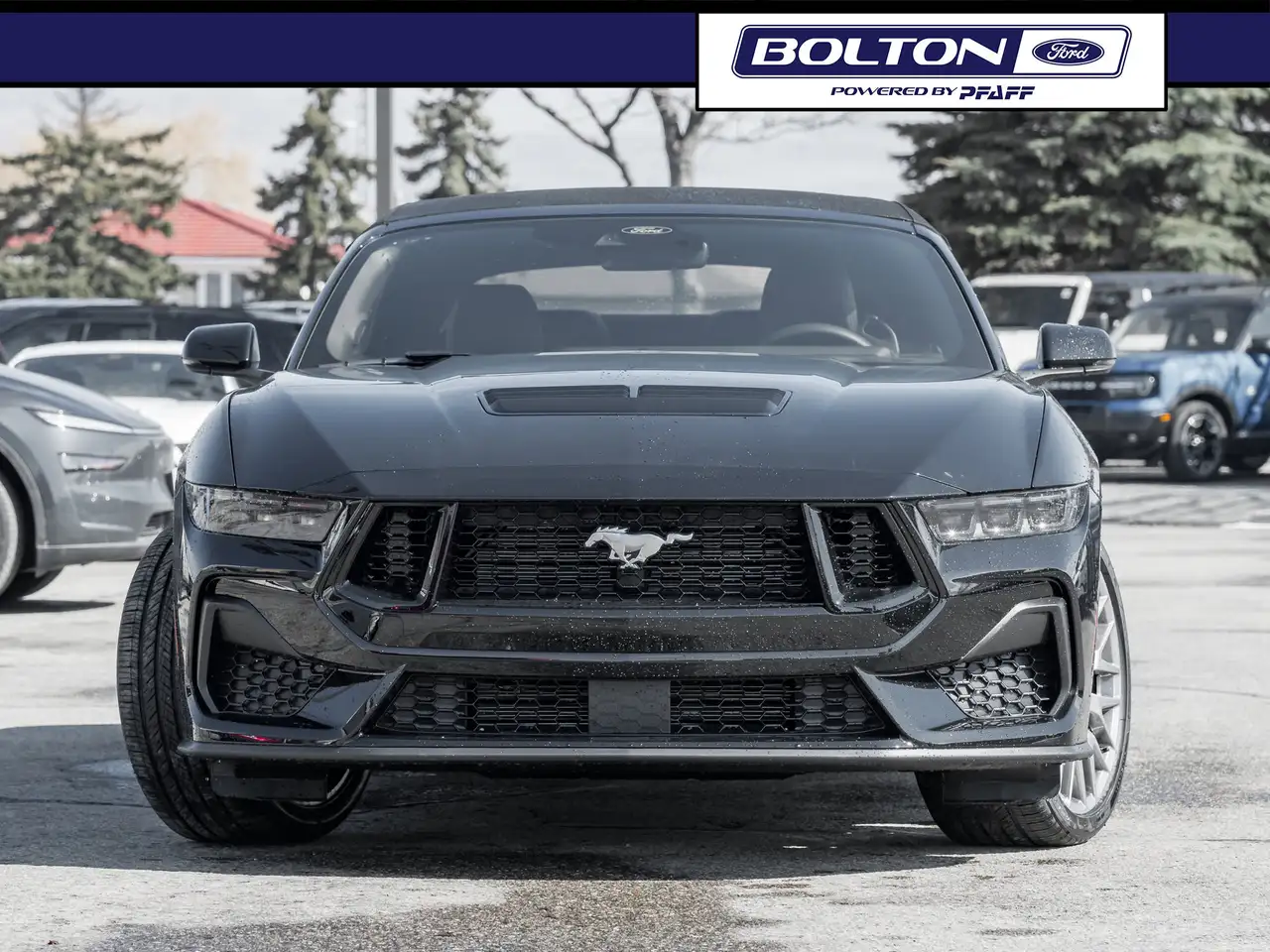 Ford Mustang снимка Ford Mustang