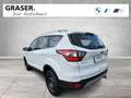 Ford Kuga DAB Klimaaut. PDC Bianco - thumbnail 3