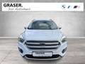 Ford Kuga DAB Klimaaut. PDC Bianco - thumbnail 9