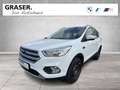 Ford Kuga DAB Klimaaut. PDC Bianco - thumbnail 1