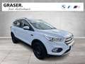Ford Kuga DAB Klimaaut. PDC Bianco - thumbnail 8