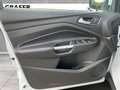 Ford Kuga DAB Klimaaut. PDC Bianco - thumbnail 10