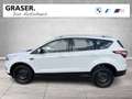 Ford Kuga DAB Klimaaut. PDC Bianco - thumbnail 2