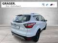 Ford Kuga DAB Klimaaut. PDC Bianco - thumbnail 6