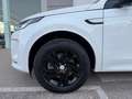 Land Rover Discovery Sport 2.0D TD4 MHEV S AWD Auto 204 Blanco - thumbnail 9
