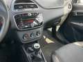 Fiat Punto 5p 1.2 Gpl Street 69CV / IDEALE PER NEOPATENTATI Bleu - thumbnail 11