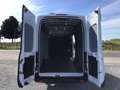 Ford Transit l4h3 2024 29000km full/option 25950e ex Blanc - thumbnail 7