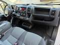 Fiat Ducato 2.3 MJT 140CV ALLESTITO L2 H2 Bianco - thumbnail 12