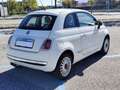 Fiat 500 500 III 1.2 Lounge 69cv IN ARRIVO Blanc - thumbnail 4