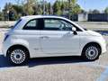 Fiat 500 500 III 1.2 Lounge 69cv IN ARRIVO Blanc - thumbnail 5