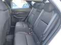 Mazda CX-30 e-Skyactiv-G M Hybrid 2WD Centre Line Bianco - thumbnail 15