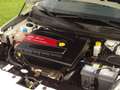 Alfa Romeo Giulietta 1.7 TBi QV | H&S Corse | Raggazzon | Cruise | BMC Wit - thumbnail 6