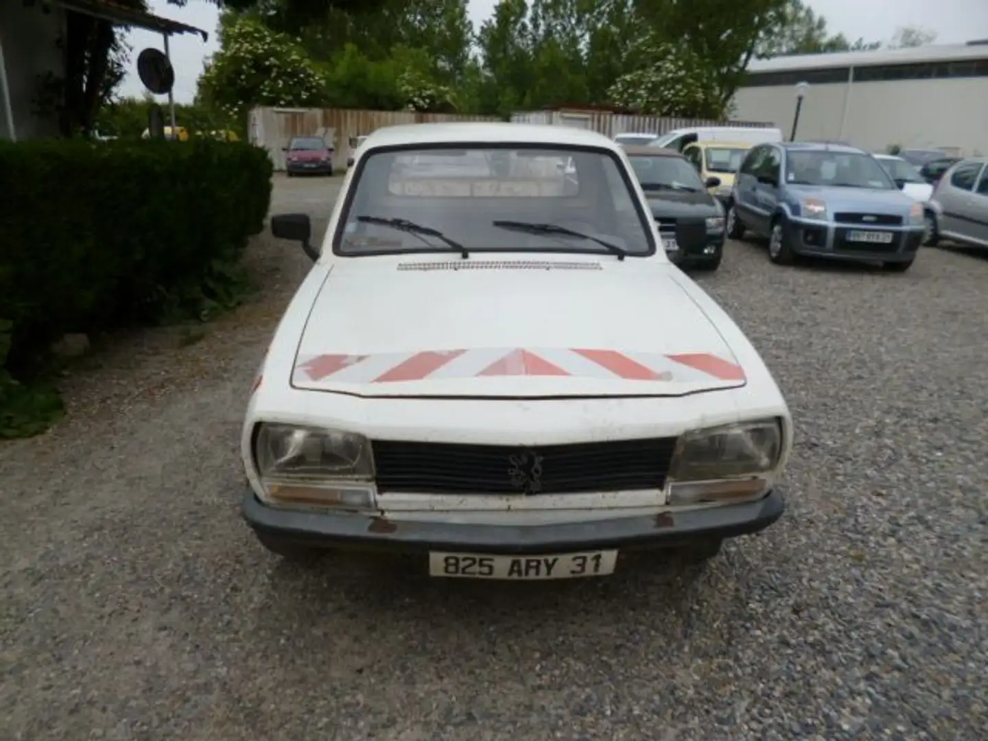 Peugeot 504 2,3 D Weiß - 2