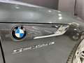 BMW Z4 Z4A sDrive35is Gris - thumbnail 36