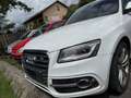 Audi SQ5 Weiß - thumbnail 1