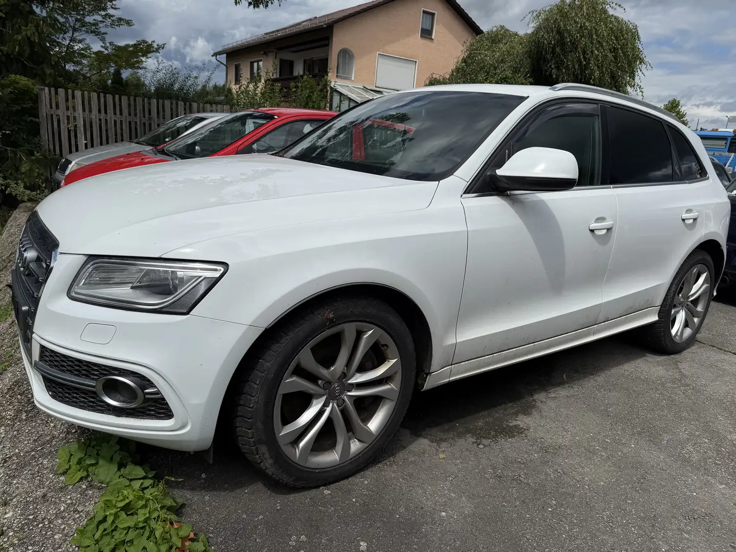 Audi SQ5 Weiß - 2