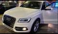 Audi SQ5 Weiß - thumbnail 1