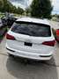 Audi SQ5 Weiß - thumbnail 8