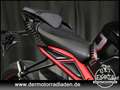 Triumph Street Triple 765 Street Triple 765 R ABS / VERSAND BUNDESWEIT Negro - thumbnail 27