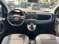 Fiat Panda 1.2 70CV 5P NEOPATENTATI GARANZIA 12 MESI Negro - thumbnail 4