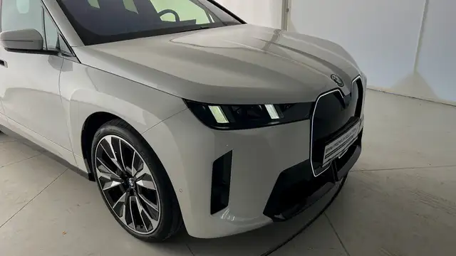 BMW iX xDrive45 Ansicht 18