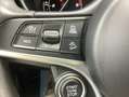 Alfa Romeo Stelvio Super Q 4 210 PS Verde - thumbnail 14