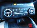 Ford Focus 1.5 EcoBlue 120cv Automatico 5pt. Active Co-Pilot Bianco - thumbnail 14