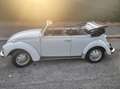 Volkswagen Maggiolino CABRIO KARMAN Wit - thumbnail 37