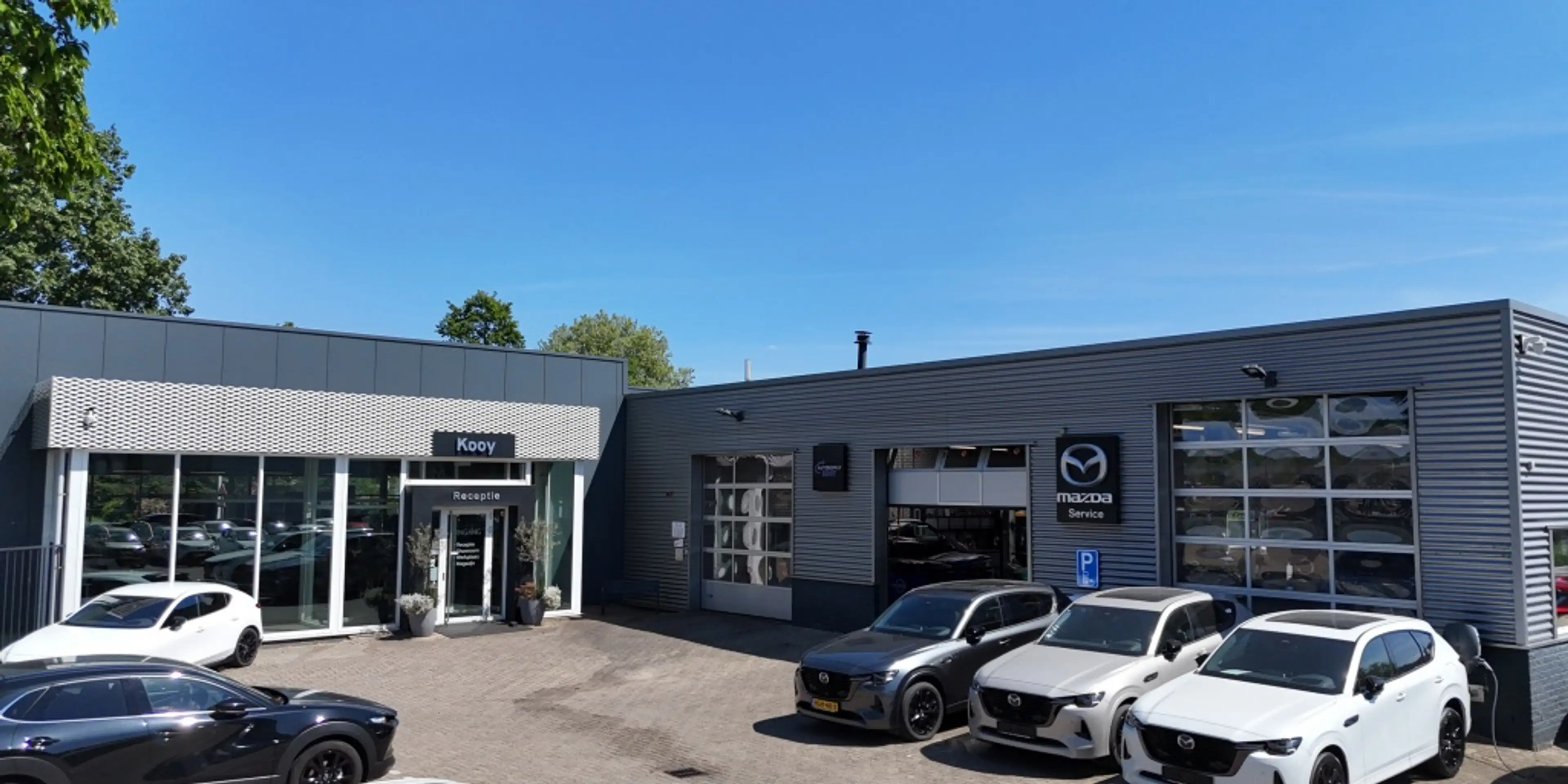 Mazda 2 Hybrid 1.5 Homura / Nieuwe kleur: Fern Green / DEM — photo 12