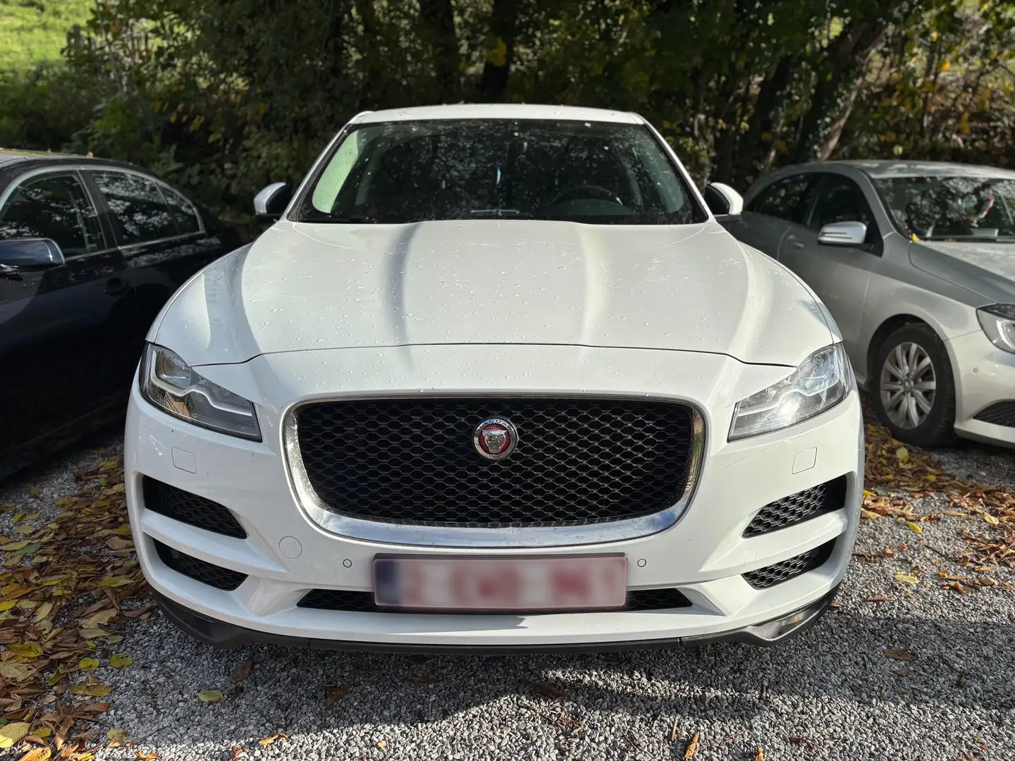 Jaguar F-Pace 2.0 D AWD Portfolio (EU6.2) Blanc - 2
