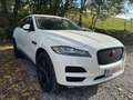 Jaguar F-Pace 2.0 D AWD Prestige (EU6.2) Wit - thumbnail 3
