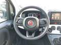 Fiat Panda 4x2 FireFly Hybrid 70 Gelb - thumbnail 12