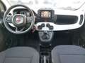 Fiat Panda 4x2 FireFly Hybrid 70 Gelb - thumbnail 4