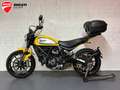 Ducati Scrambler Icon 800 Jaune - thumbnail 1