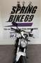 Ducati Monster 797 - thumbnail 3